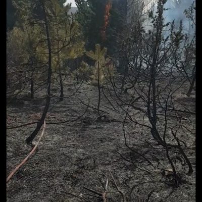 image-341593 kozan.gr: Σε εξέλιξη είναι πυρκαγιά σε δασική έκταση στην περιοχή Κρύα Βρύση του δήμου Σερβίων Κοζάνης – Επιχειρούν 48 πυροσβέστες με 4 ομάδες πεζοπόρων τμημάτων και 9 οχήματα (Bίντεο)