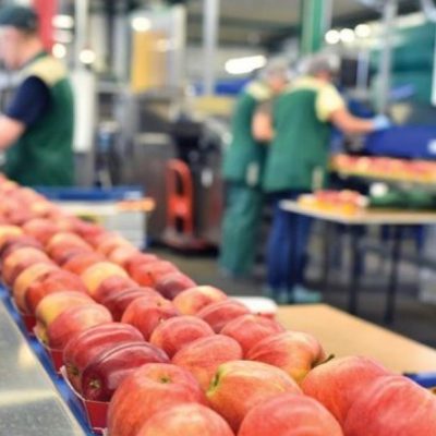 image-343326 Βελβεντός «Δήμητρα»: Απασχόληση προσωπικού στο Συνεταιρισμό την καλοκαιρινή περίοδο – Οι αιτήσεις υποβάλλονται από 17 Μαΐου 2021 μέχρι 30 Ιουνίου 2021