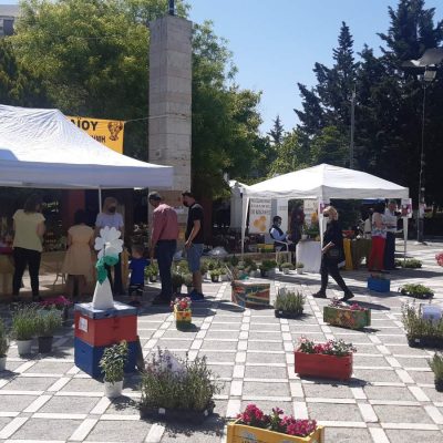 image-344519 kozan.gr: Πτολεμαΐδα: Τίμησαν, το πρωί της Κυριακής 23/5, την Παγκόσμια Ημέρα Μέλισσας, με εκδήλωση στην κεντρική πλατεία (Φωτογραφίες & Βίντεο)