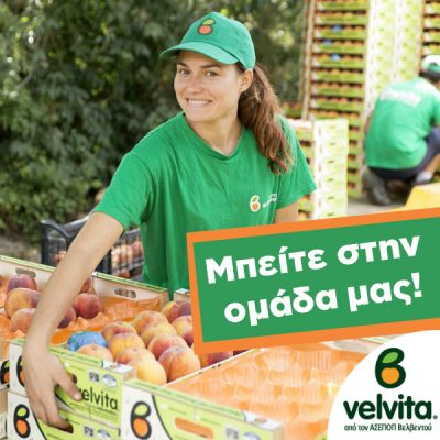 image-345011 Ο Αγροτικός Συνεταιρισμός ΑΣΕΠΟΠ ΒΕΛΒΕΝΤΟΥ προτίθεται να απασχολήσει εποχικό προσωπικό κατά τους καλοκαιρινούς μήνες