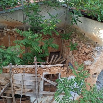 image-345173 Καταγγελία αναγνώστη στο kozan.gr: Έντονη δυσοσμία σε οικόπεδο επί της οδού Δωδώνης στην Κοζάνη – Έχουμε επικοινωνήσει πολλές φορές με τον δήμο αλλά εισπράξαμε αδιαφορία (Φωτογραφίες)