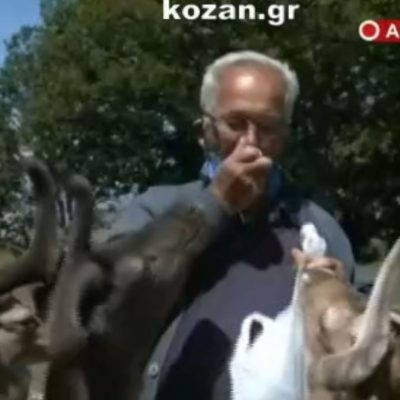 image-346120 kozan.gr: Σημερινές εικόνες, μέσω ζωντανής σύνδεσης της ΕΡΤ3, από τη γειτονιά” των ελαφιών στο πάρκο του Αγ. Παντελεήμονα στην Κοινότητα Αγ. Δημητρίου Κοζάνης (Βίντεο)