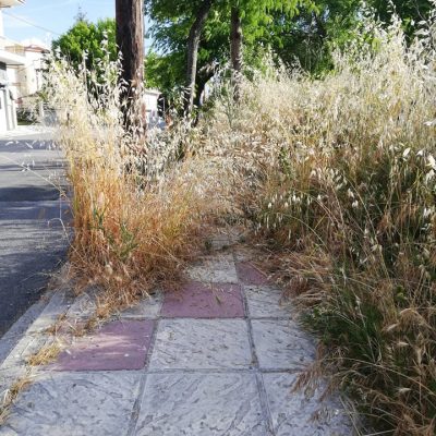 image-346455 kozan.gr: Νέα παράπονα αναγνώστη: Η κατάσταση με τα χόρτα στην οδό Αιανής στην πόλη της Κοζάνης αναγκάζει τους πεζούς να περπατούν μέσα στο δρόμο αντί για τα πεζοδρόμια (Φωτογραφίες)