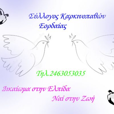 image-347439 Νέο ξεκίνημα για τον Σύλλογο Καρκινοπαθών Εορδαίας