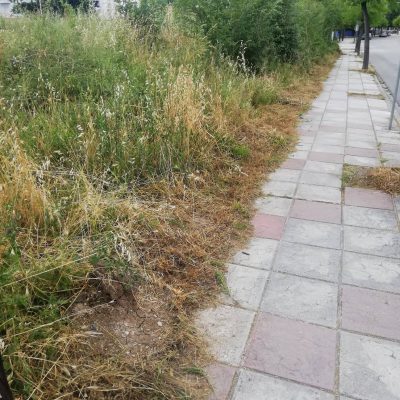 image-347667 Μετά την ανάδειξη του θέματος από το kozan.gr κόπηκαν τα χόρτα στην οδό Αιανής στην Κοζάνη (Φωτογραφίες)