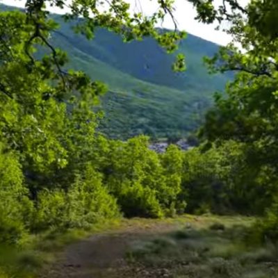 image-347882 Το Δάσος των Αγίων Αποστόλων στην Μεταμόρφωση Κοζάνης – Λήψη βίντεο 15/6 από το tovoion.com