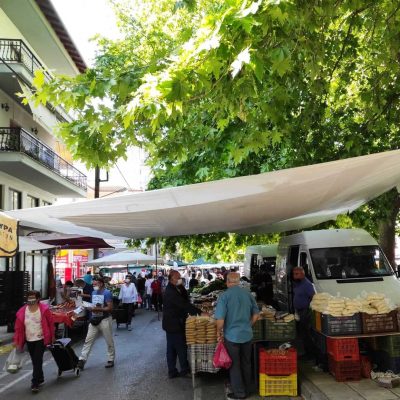 image-348400 Η Δημοτική Κίνηση Κοζάνη – Τόπος να Ζεις για την επαναλειτουργία της λαϊκής αγοράς Κοζάνης με το 100% της δυναμικότητάς της