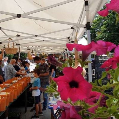 image-348454 Γρεβενά: Mοίρασαν ΔΩΡΕΑΝ σπόρους και φυτά από παραδοσιακές ποικιλίες (Bίντεο & Φωτογραφίες)