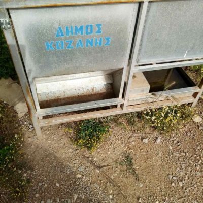 image-348989 Επιστολή αναγνώστριας στο kozan.gr: Δήμος Κοζάνης, διαχείριση αδέσποτων, ώρα 0