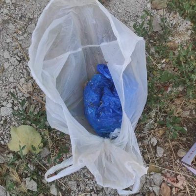 image-349476 Φιλοζωικό Σωματείο Προστασίας Αδέσποτων Ζώων Πτολεμαΐδας “Οι Αδέσποτοι Ήρωες”: ¨Κουτάβια πεταμένα σε κλειστή σακούλα” (Φωτογραφίες)