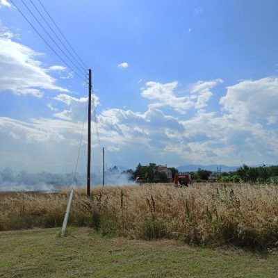image-350525 kozan.gr: Μικρής έκτασης φωτιά, που έσβησε γρήγορα η πυροσβεστική, στην περιοχή του οικισμού Νέας Καρδιάς στην Πτολεμαΐδα (Φωτογραφία & Βίντεο)