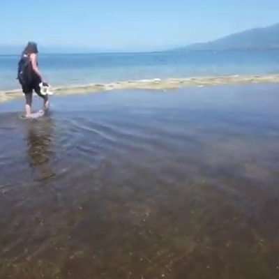image-350796 Το Τμήμα Εικαστικών και Εφαρμοσμένων Τεχνών του Πανεπιστημίου Δυτικής Μακεδονίας διοργανωτής στις Διεθνείς Περιπατητικές Συναντήσεις/Συνέδριο «Το Περπάτημα ως Ερώτημα» που πραγματοποιείται από τις 4 έως και τις 11 Ιουλίου 2021, στις Πρέσπες