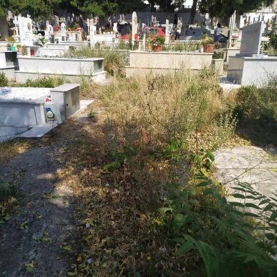 image-351747 Καταγγελία αναγνώστη στο kozan.gr: Κοιμητήρια Κοζάνης, μνήματα “πνιγμένα” από χόρτα – Η αρμόδια υπηρεσία του δήμου δεν ενδιαφέρεται;.