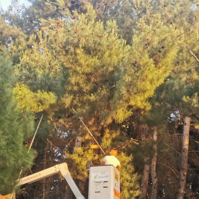 image-352049 kozan.gr: Ώρα 20:15: Κλαδί δέντρου έπεσε σε καλώδια της ΔΕΗ στο δασάκι δίπλα στην κεντρική λαϊκή αγορά της Κοζάνης προκαλώντας τη διακοπή ρεύματος σε μεγάλο τμήμα της Κοζάνης . Γίνονται εργασίες αποκατάστασης οι οποίες υπολογίζονται ότι θα διαρκέσουν δέκα με είκοσι λεπτά (Βίντεο & Φωτογραφίες)
