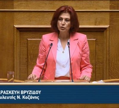 image-352288 Ομιλία Π. Βρυζίδου στο ν/σ για το έργο του Βόρειου τμήματος του Αυτοκινητόδρομου Κεντρικής Ελλάδος-Ε65 στην Ολομέλεια της Βουλής (Βίντεο)