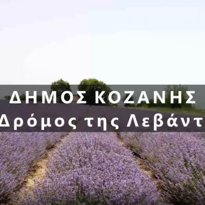 image-352467 Δήμος Κοζάνης: Στηρίζουμε τα τοπικά μας προϊόντα – Ακολουθούμε το δρόμο της λεβάντας (Βίντεο)