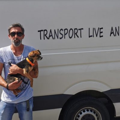 image-354362 kozan.gr: Tι είναι το “Kozani Pet taxi” (Βίντεο & Φωτογραφίες)