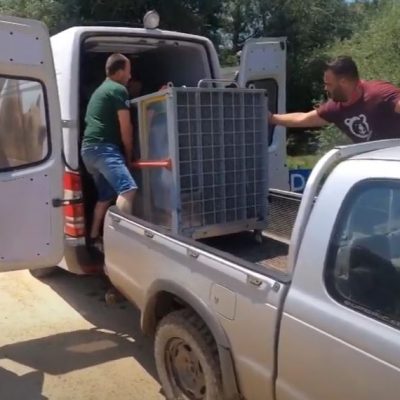 image-354711 Φλώρινα – ΑΡΚΤΟΥΡΟΣ: Με μικρά “αγρίμια” γέμισε το Κέντρο Επανένταξης Άγριων Ζώων (Βίντεο)