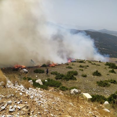 image-356018 kozan.gr: Συνεχίζουν να δίνουν μάχη οι πυροσβέστες στην ευρύτερη περιοχή της Ζωοδόχου Πηγής – Οι ισχυροί άνεμοι που πνέουν στην περιοχή δυσχαιρένουν το έργο τους – Δηλώσεις του Αντιδημάρχου του Δήμου Κοζάνης Πολιτικής Προστασίας Γ. Δουγαλή (Φωτογραφίες & Βίντεο)