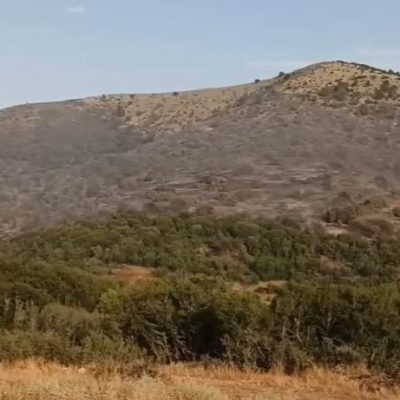 image-356108 kozan.gr: ‘Ώρα 19.15: Δεν “πέρασε” η φωτιά προς το χωριό Μεταξά – Ελεγχόμενη η κατάσταση και στις εστίες φωτιάς από τη μεριά του Σαρανταπόρου (Βίντεο)