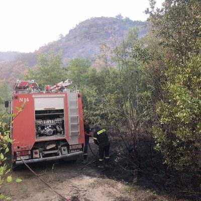 image-356843 Συνεχίζεται η επιχείρηση κατάσβεσης της πυρκαγιάς στην περιοχή των «Γιαγκουλείων» στο Νησί Γρεβενών (Βίντεο)