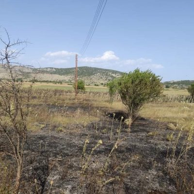 image-356852 Φωτιά στο δρόμο προς Μεταμόρφωση. Τέθηκε γρήγορα υπό έλεγχο με την άμεση επέμβαση της Πυροσβεστικής Υπηρεσίας Κοζάνης