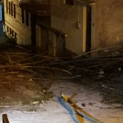 image-357043 kozan.gr: Σιάτιστα: Λόγω των δυνατών ανέμων, έσπασαν κλαδιά από δέντρα και παρέσυραν και καλώδια ηλεκτρικού ρεύματος (Βίντεο & φωτογραφίες)