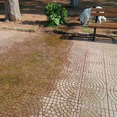 image-357879 Σχόλιο αναγνώστη: “Τα νερά να τρέχουν”
