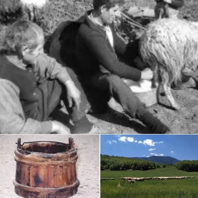 image-358250 Λιβαδερό, κοντά στο 1960 – H γιορτή του γαλόμετρου (του Κώστα Φαρμάκη)