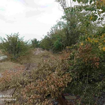 image-361442 Πολλές εικόνες, εκατομμύρια λέξεις – Αποδέκτης: O Δασάρχης Κοζάνης (Του Θεοφίλου Παπαδοπούλου)