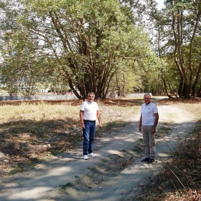 image-362046 Π.Ε. Κοζάνης: 5.670.000 € στο Δήμο Σερβίων για οδικές προσβάσεις σε 247 επιχειρήσεις πρωτογενούς τομέα, Γ΄ Φάση
