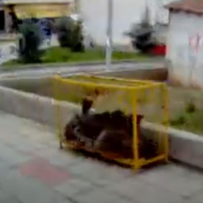 image-363847 Βίντεο ερασιτεχνικής ποιότητας, φοιτητή το 2005, μέσα από λεωφορείο, που εκτελούσε τη διαδρομή ΤΕΙ Κοζάνης – κεντρική πλατεία Κοζάνης (Βίντεο)
