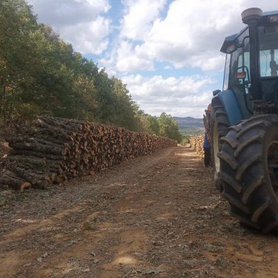 image-364876 Ομαλή Βοΐου: Ξεκίνησε η διάθεση καυσόξυλων