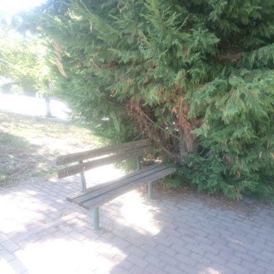 image-365051 Eπισημάνσεις αναγνώστη του kozan.gr για διάφορα “στραβά” στην πόλη της Κοζάνης (Φωτογραφίες)