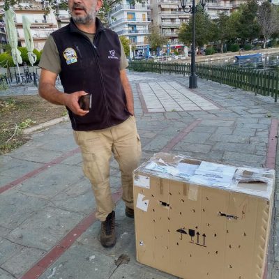 image-365068 kozan.gr: Ανέκτησε τις δυνάμεις του κι άνοιξε τα φτερά του στη λίμνη της Καστοριάς (Βίντεο)