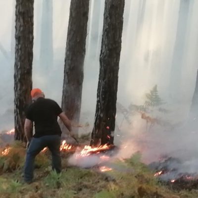 image-365348 Φωτιά ξέσπασε, το απόγευμα του Σαββάτου, σε δασική έκταση στη θέση Μπαϊτάνη στο Περιβόλι Γρεβενών