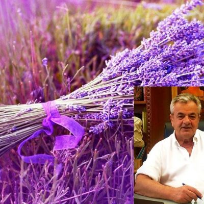 image-366370 Π.Ε. Κοζάνης: Έρευνα αξιοποίησης αιθέριου ελαίου και ανθόνερου λεβάντας και ρίγανης