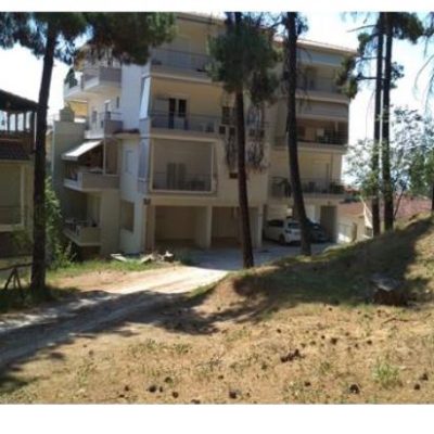 image-367796 kozan.gr: Σε προκήρυξη για την ανάδειξη αναδόχου που θα εκπονήσει μελέτη για τη διαμόρφωση του ανατολικού τμήματος του πάρκου του Αγ. Δημητρίου στην πόλη της Κοζάνης προχωρά ο Δήμος Κοζάνης