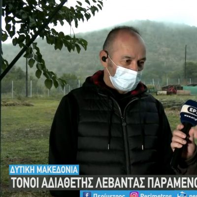 image-368041 kozan.gr: Mικρόκαστρο Βοΐου: Αδιάθετες μεγάλες ποσότητες αιθέριου λαδιού λεβάντας – Το πρόβλημα ξεκίνησε την τελευταία τριετία (Βίντεο)