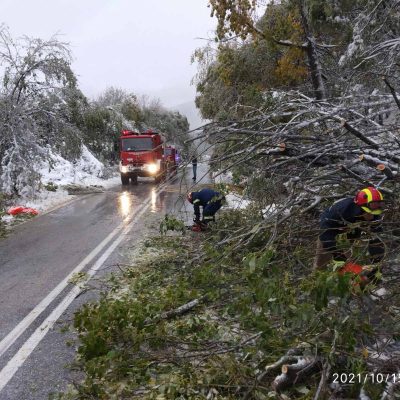 image-369373 kozan.gr: Πτώσεις δέντρων, νωρίς το πρωί, λόγω κακοκαιρίας και στο δρόμο Φλώρινας – Πρέσπες, πριν το Πισοδέρι – Διεκόπη η κυκλοφορία