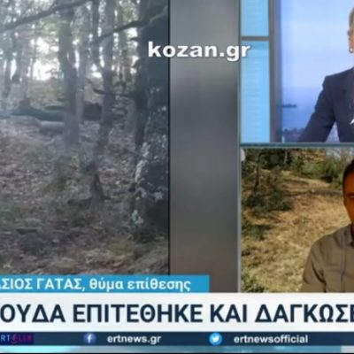 image-370592 kozan.gr: O A. Γάτας, μίλησε στην ΕΡΤ3, για τον τραυματισμό του από επίθεση αρκούδας, στον Αυγερινό Βοΐου, που τον δάγκωσε στο πόδι – H παρέμβαση του Δ. Παπαγεωργίου, Προέδρου του Κυνηγετικού Συλλόγου Κοζάνης (Βίντεο)