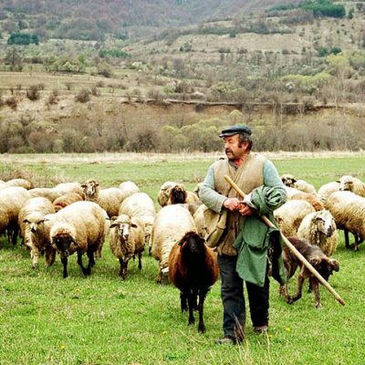 image-372627 Ν.Ε. ΣΥΡΙΖΑ Κοζάνης, Αγροτικό τμήμα: Η κυβέρνηση της ΝΔ καρατομεί τις επιδοτήσεις των αγροτών (Με αφορμή τη πληρωμή της Βασικής Ενίσχυσηςτων αγροτών)