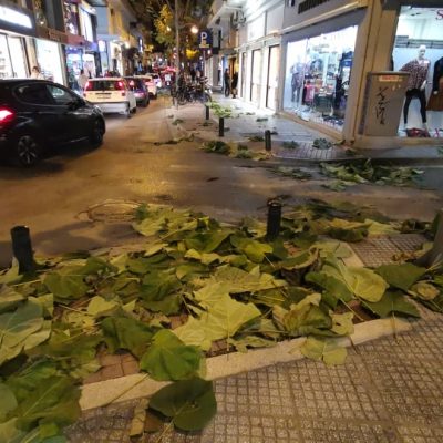 image-374376 kozan.gr: Ο δυνατός αέρας σκόρπισε και γέμισε τεράστια φύλλα τον εμπορικό δρόμο της Κοζάνης επί της οδού Μ. Αλεξάνδρου δημιουργώντας ένα ασυνήθιστο τοπίο (Βίντεο & Φωτογραφίες)