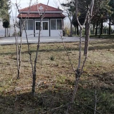 image-375026 kozan.gr: Η Αγία Παρασκευή, στον παλαιό οικισμό Μαυροπηγής, στέκει ακόμη εκεί αγέρωχη και ξυπνά αναμνήσεις – Σε εξέλιξη το τελευταίο χρονικό διάστημα εργασίες συντήρησης στον Ι.Ν. και καλλωπισμού του προαύλιου χώρου (Φωτογραφίες)