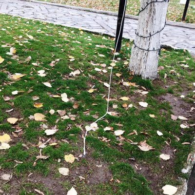 image-378175 Βανδαλισμοί και φθορές στο Χριστουγεννιάτικο διάκοσμο του Δήμου Εορδαίας, σε διάφορα σημεία της Πτολεμαΐδας (Φωτογραφίες)