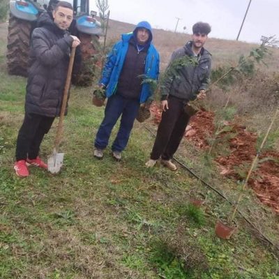 image-381248 Ευχαριστήριο του Αθλητικού Συλλόγου Πελαργού και προσωπικά του Προέδρου Φίλιππου Τσαούσογλου στον Διευθυντή του ΛΚΔΜ Α. Νίκου για τη δωρεά δενδρυλλίων που χρησιμοποιήθηκαν για δράση δεντροφύτευσης, στις 9/12, κοντά στο γήπεδο του χωριού.