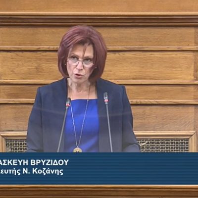 image-382656 Π. Βρυζίδου: Eυνοϊκές διατάξεις που αφορούν την ΠΕ Κοζάνης στο νομοσχέδιο του Υπουργείου Υγείας