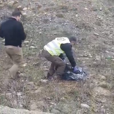image-383416 Καστοριά: Νεαρό ζαρκάδι τραυματίστηκε σε τροχαίο – Η Ομάδα Αμεσης Επέμβασης (ΟΑΕ) του Αρκτούρου χειρίστηκε το συμβάν (Βίντεο)