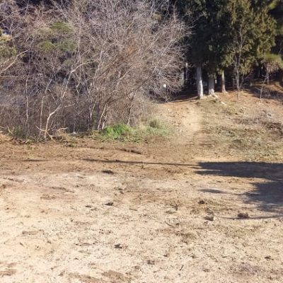image-386290 Έπειτα από την αναφορά αναγνώστη του kozan.gr το πεσμένο δέντρο στην περιοχή του ΟΣΕ φορτώθηκε κι απομακρύνθηκε