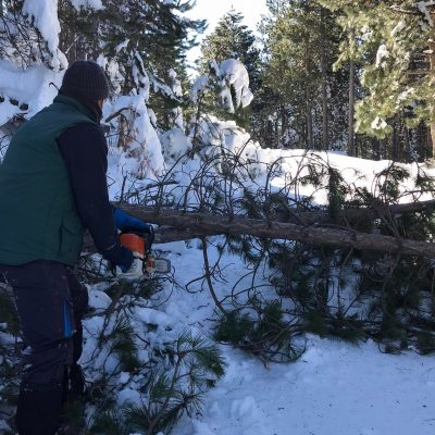 image-386360 Συνεχίζονται οι εργασίες αποχιονισμού και καθαρισμού από πεσμένα δέντρα στο δρόμο Αγ. Κυριακής – Καταφυγίου